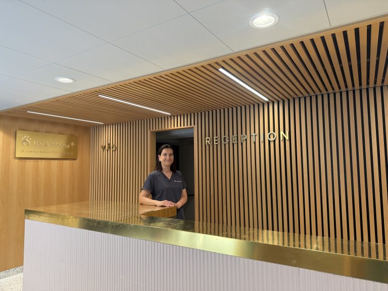 Ny djurklinik öppnar på Östermalm