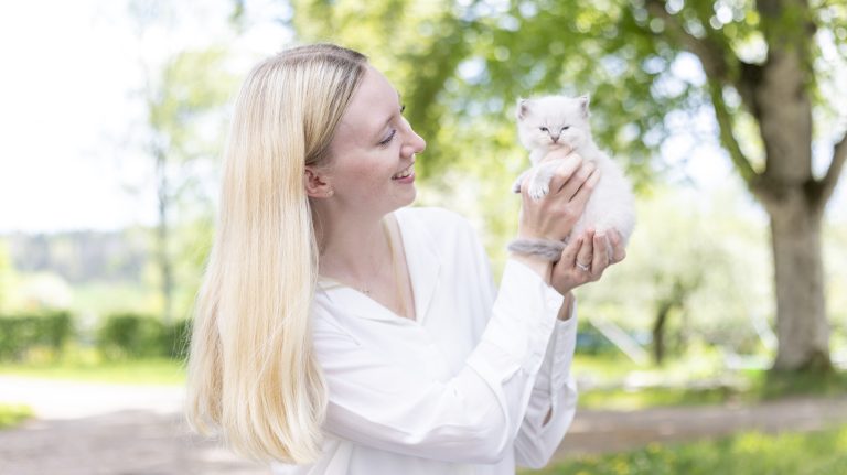 Varför dör så många kattungar? SLU söker svar