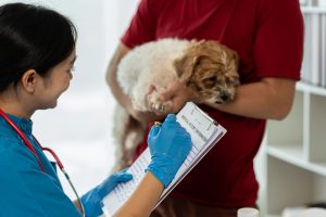 Veterinär samtalar med djurägare och hund på en veterinärklinik.