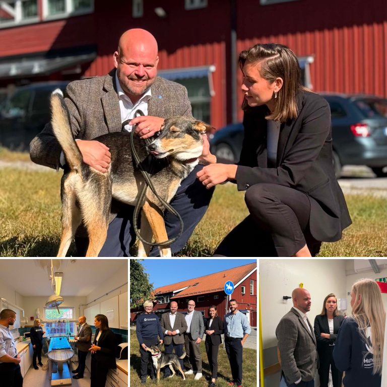 En av åtta har avstått djursjukvård av kostnadsskäl