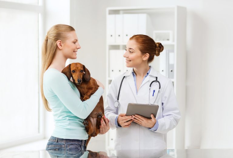 Diagnostikjätten köper AI-bolag för veterinärkliniker
