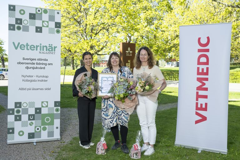 Vem blir Årets Veterinär 2026?