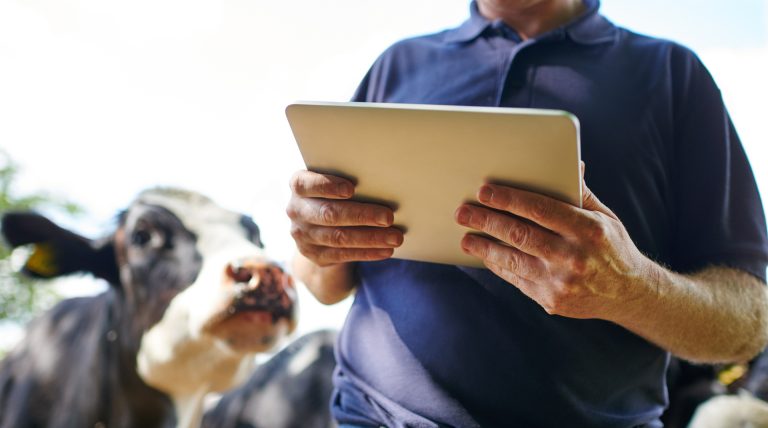 Risk för brist på kalciuminfusioner – veterinärer hänvisas till licensläkemedel