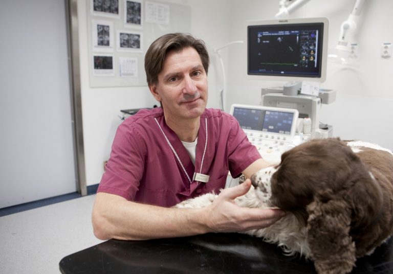 Pimobendan förlänger livet på hjärtsjuka hundar